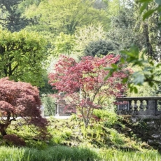 Idyllische Landschaft mit alter Steinbrücke und Bäumen in verschiedenen, leuchtenden Farben