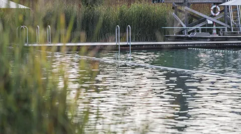 Naturbad Riehen, Foto: Martin Graf