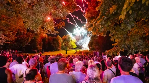 Feuerwerk an der Bundesfeier