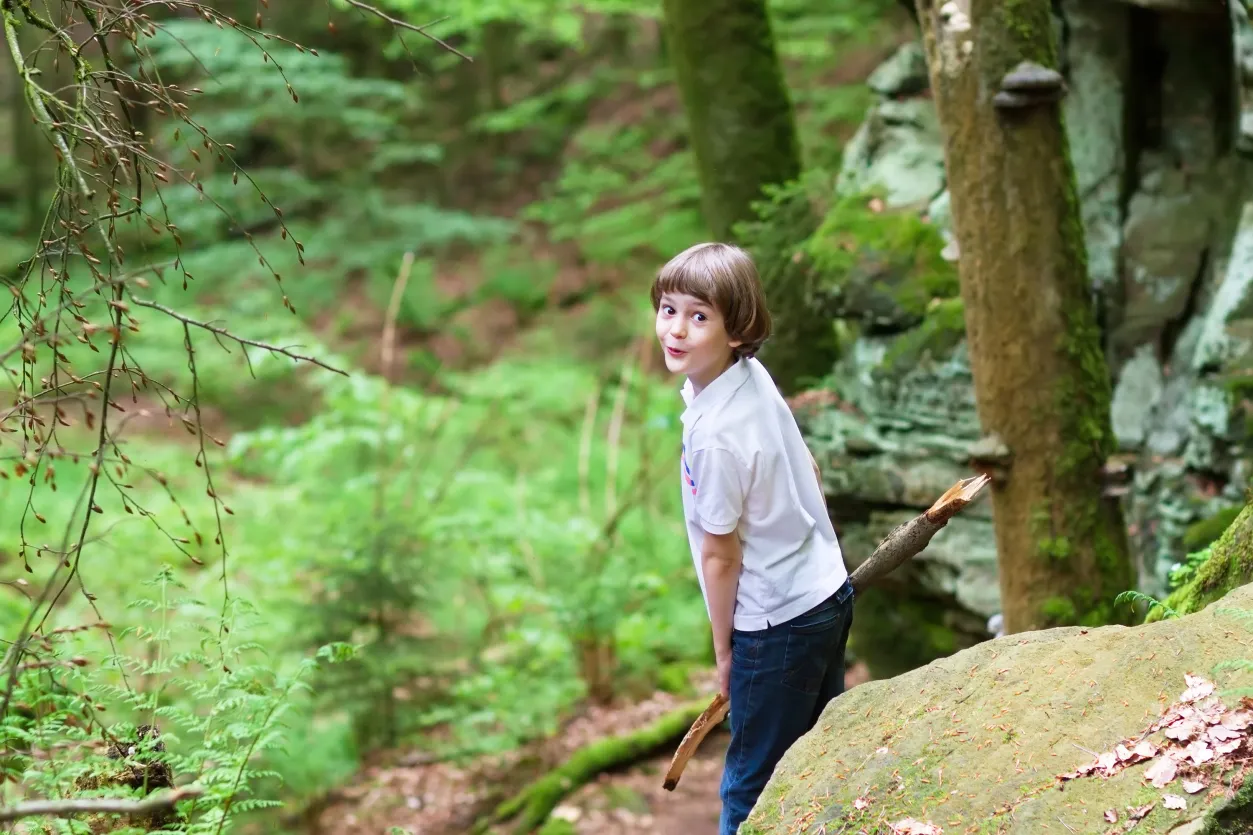 Kreativ Atelier im Wald iStock 462452011
